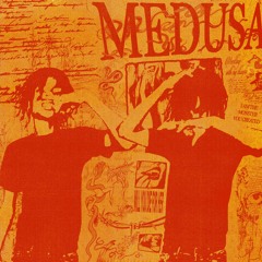 medusa p. hollowed