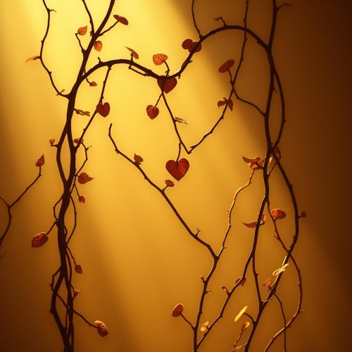 Don’t Lose a Man Like That