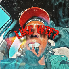Like Wtf? (prod.66 Josh)
