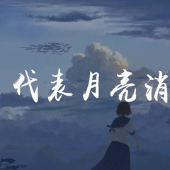 你的大表哥曲甲,曾大块儿 - 代表月亮消灭我【動態歌詞/Lyrics Video】