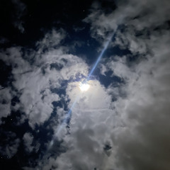 straight razor - matt maeson (cover)