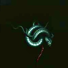 What You’ve Done? (Black Metal)