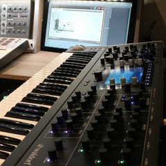 6x11 Quantum live ambient