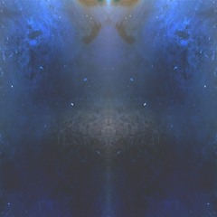 kombucha experiment 1