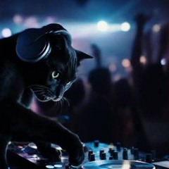 Nachdi Sherni Bollywood Item Song (aílouros remix)