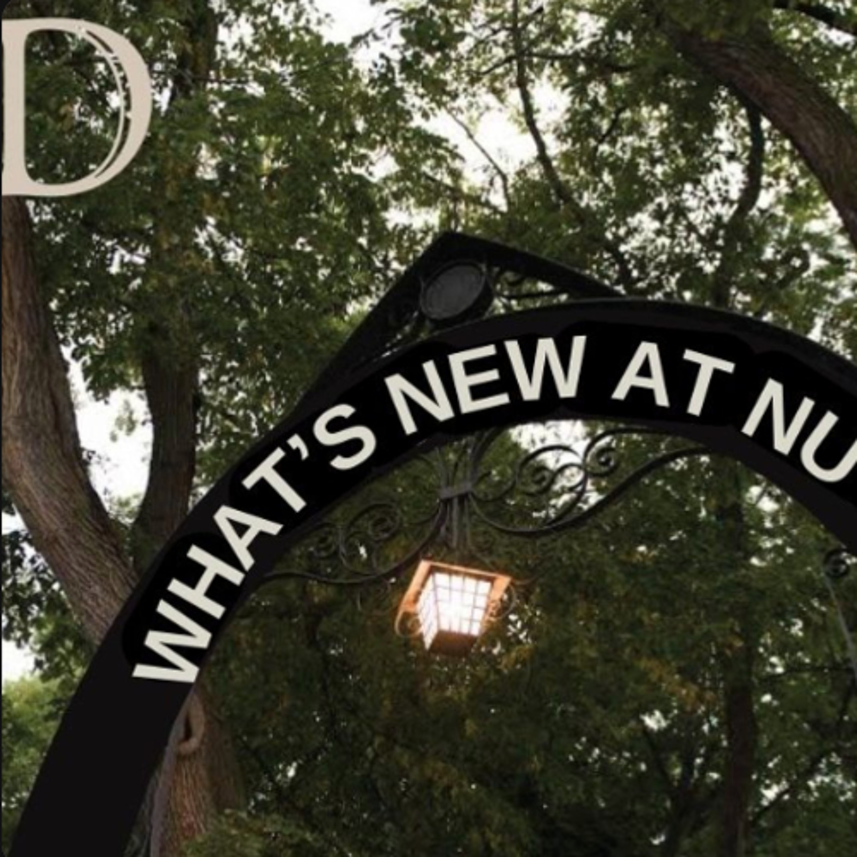 What’s New at NU: Wildcats spring into quarterly org fair episode artwork