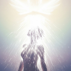 Bury Me in the Light