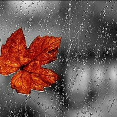Fall Rain