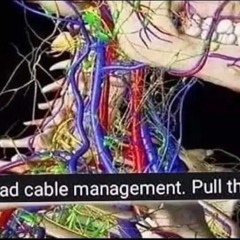 xv15 freestyle  (sanakan)
