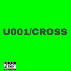UNTITLED001(CROSS)