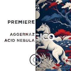 PREMIERE: Aggernaz - Acid Nebula [Natura Viva]
