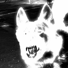 big dog w/ rarebunny* (prod. rich loser x bobby britt)