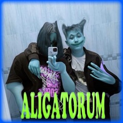 ALIGATORUM (6eb0ren, STAKILLAZ collab)