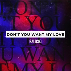 Galoski - Dont You Want My  Love