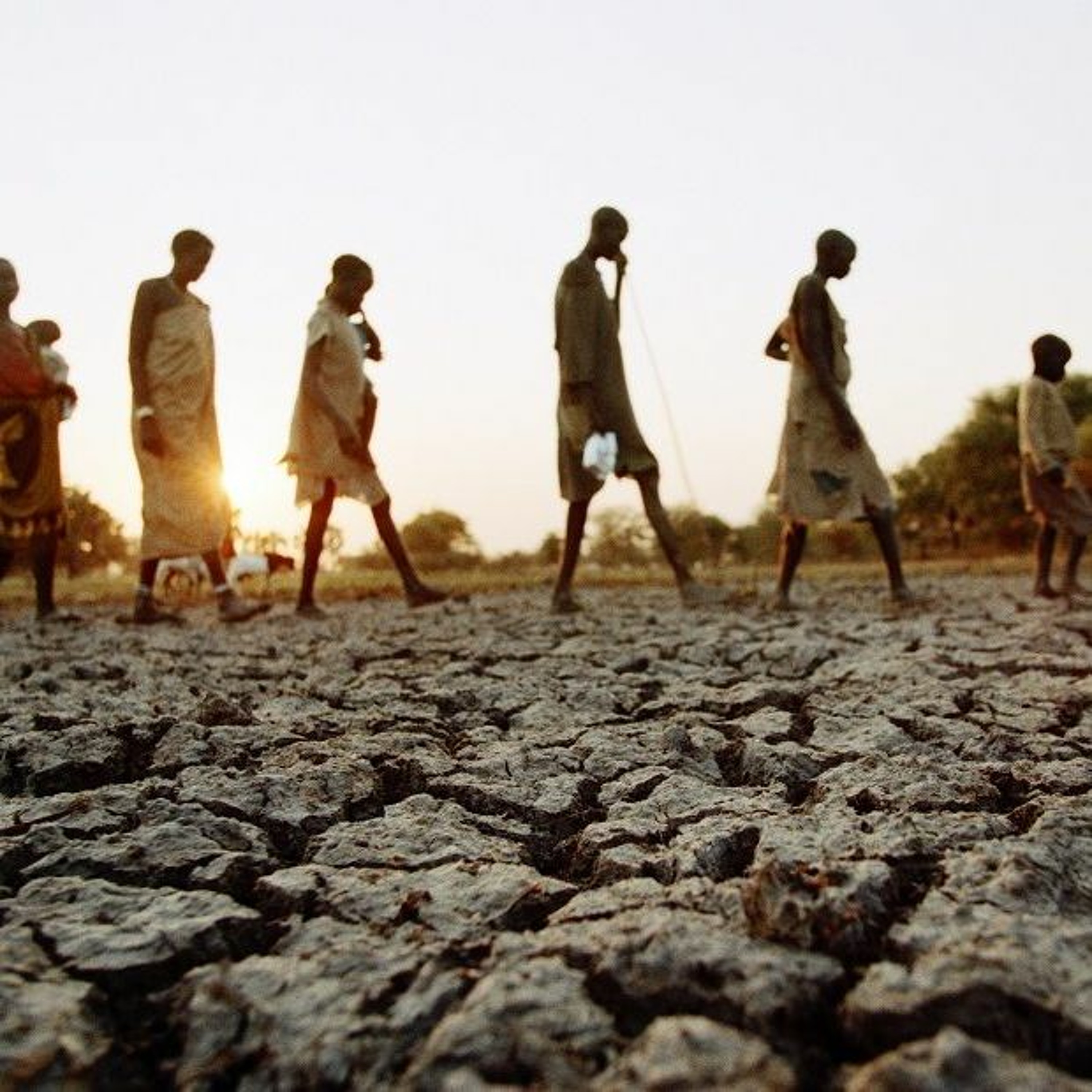 ICRC Humanitarian Law and Policy Blog
