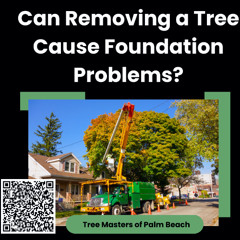Can Removing a Tree Cause Foundation Problems?