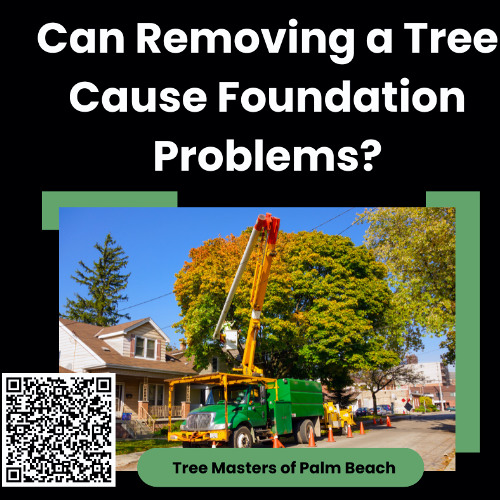 Can Removing a Tree Cause Foundation Problems?