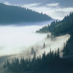 Summer Mist ft. Bish