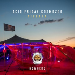 Piccaya @ Nowhere 2023 // Kosmozoo (Acid Friday)