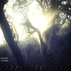 anestesia feat rosswei