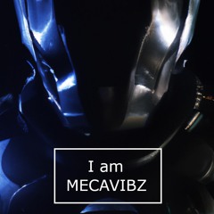 I'm MecaVibz