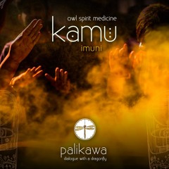 Kamu - Owl spirit medicine song - musica medicina