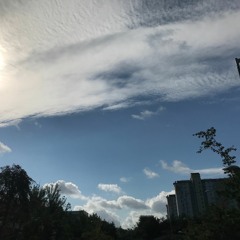 애쓰지마 (same same)