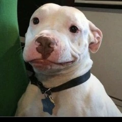 Lost File Mix 2 (2024-2025)