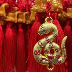 January 2025- Chinese New Year Mix