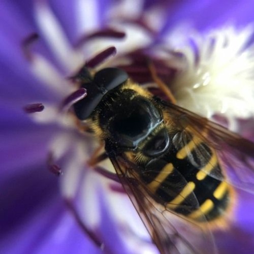 2021 - ShoutingFire - On and Off the Beaten Path