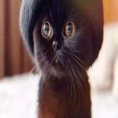 white girl wanted snow