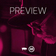 SILBERSCHWEIN CLUBN8 30 MIN. PREVIEW — 22. Nov. 2024