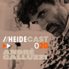 Heidecast 020 by André Galluzzi 31.01.2025 DJ mix artwork - Electronic music tracklist cover image