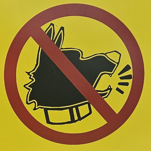 Spanner Live @ COG 2025