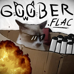 Goober.flac