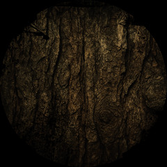 TPR - Resin Dirt