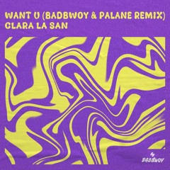 Clara La San - Want U (Badbwoy & Palane Remix)