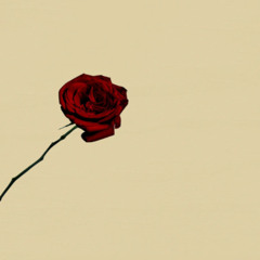 petals