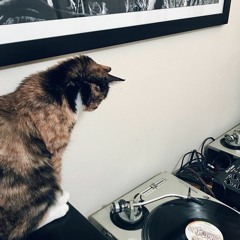 JBB31
