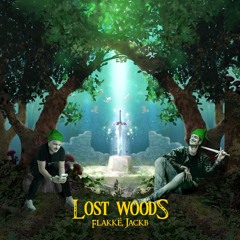 Flakkë, Jackb - Lost Woods (Extended Mix)