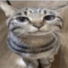 Captain Graveyard - Fer Sure