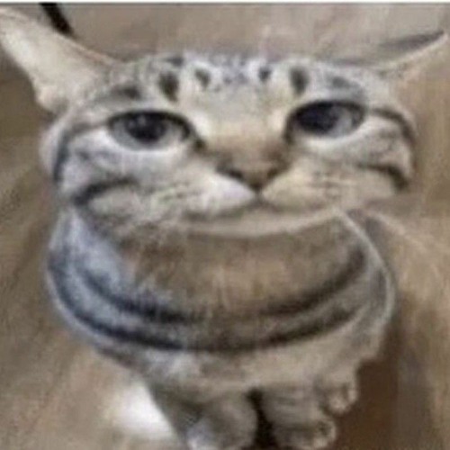 Captain Graveyard - Fer Sure