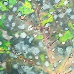 kurpark - noch so'n dadagedidicht