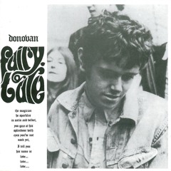 Summer Day Reflection Song