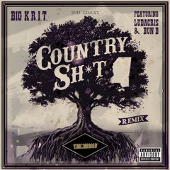 Country Sh*t (Remix) (Explicit Version) [feat. Ludacris & Bun B]