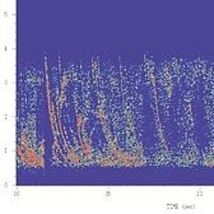 sound pattern study 3
