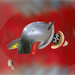 pi premiere: Sputnik One - Dry Run (N-Face)