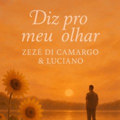 diz pro meu olhar por (Andrey Wuarmel) de (Zezé Di Camargo & Luciano)