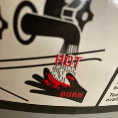 A confused Possum and all his trash