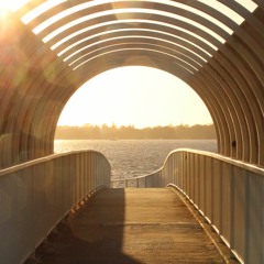 They Enter Orbit (Sample)